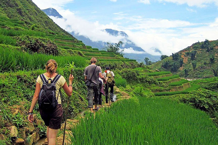 Sapa 2D1N Tour
