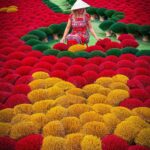 Hanoi - Ha Long - Incense Village - Ninh Binh