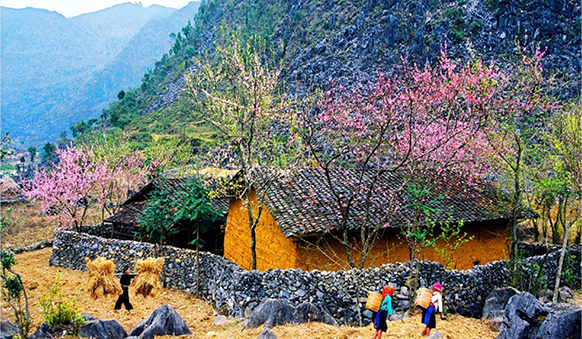 Ha Giang loop tour 4 days 3 nights