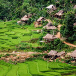 Mai Chau Pu Luong 3D2N Tour