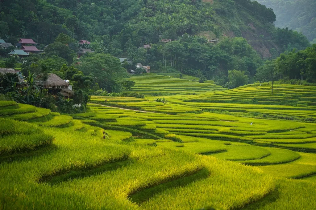 Mai Chau Pu Luong 3D2N Tour