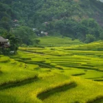 Mai Chau 2D1N Tour