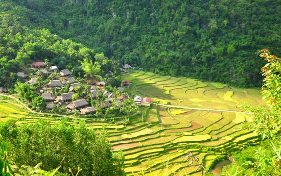 Mai Chau Pu Luong 3D2N Tour