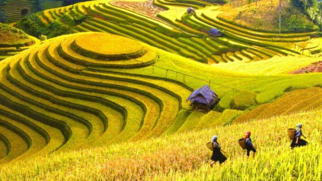 best-time-to-visit-sapa-vietnam