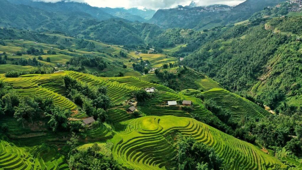 Best-time-to-visit-sapa-rice-fields