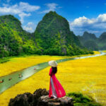Northern Vietnam 6D5N tour