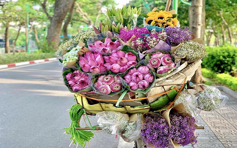 Northern Vietnam 6D5N tour