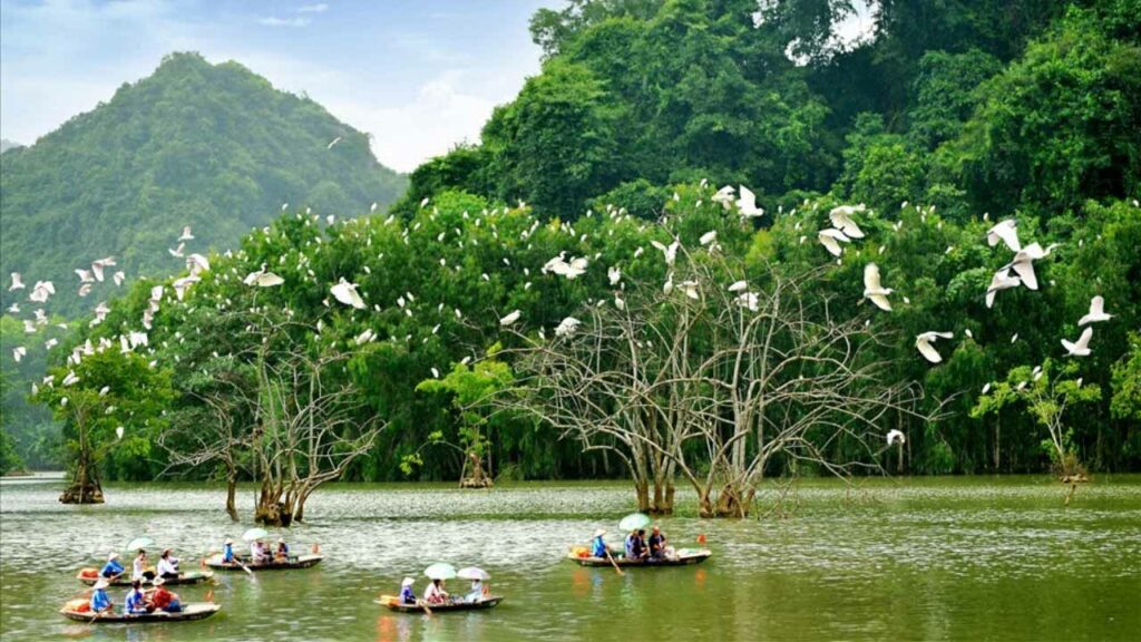 Top Attractions in Ninh Binh 2025