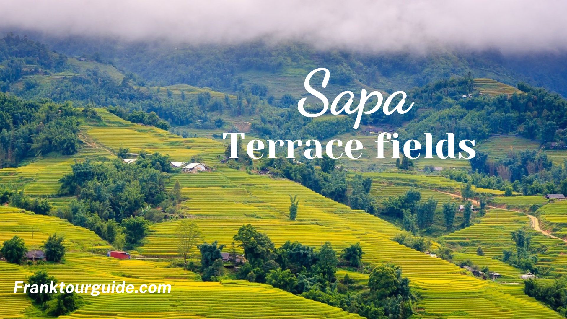 Terrace Field Sapa