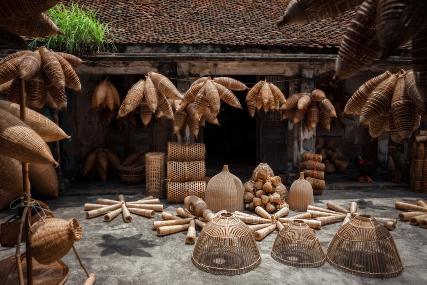 Thu Sy Village Fishing