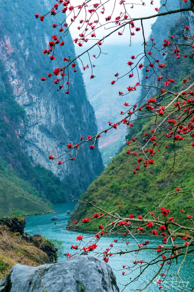 Nho Que River Boat Ride