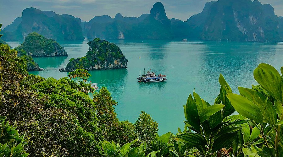 Best Time to Visit Titop Island